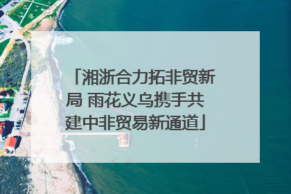 湘浙合力拓非贸新局 雨花义乌携手共建中非贸易新通道