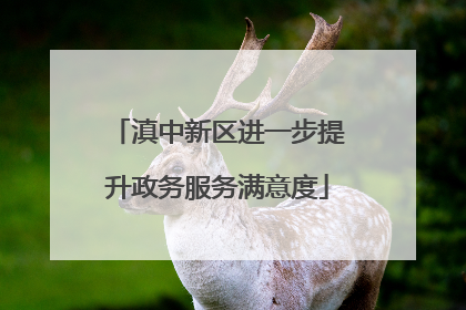 滇中新区进一步提升政务服务满意度