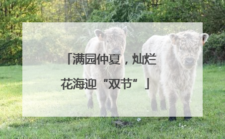满园仲夏，灿烂花海迎“双节”