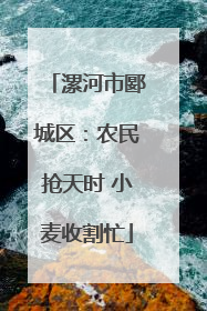 漯河市郾城区：农民抢天时 小麦收割忙