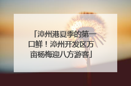漳州港夏季的第一口鲜！漳州开发区万亩杨梅迎八方游客