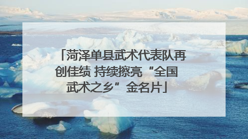 菏泽单县武术代表队再创佳绩 持续擦亮“全国武术之乡”金名片