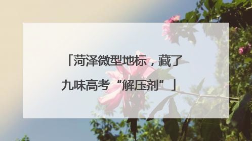 菏泽微型地标，藏了九味高考“解压剂”