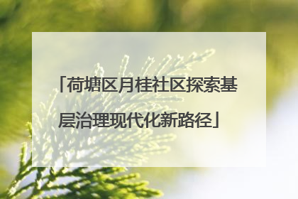 荷塘区月桂社区探索基层治理现代化新路径