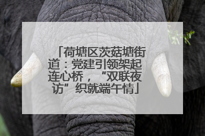 荷塘区茨菇塘街道：党建引领架起连心桥，“双联夜访”织就端午情