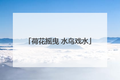 荷花摇曳 水鸟戏水