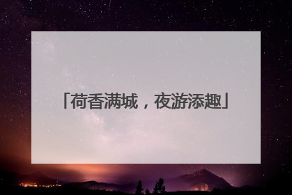 荷香满城，夜游添趣