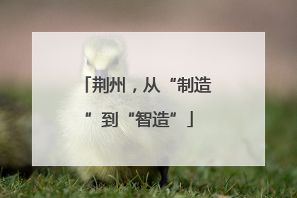 荆州，从“制造”到“智造”