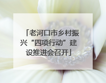 老河口市乡村振兴“四项行动”建设推进会召开