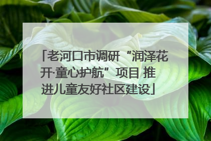 老河口市调研“润泽花开·童心护航”项目 推进儿童友好社区建设