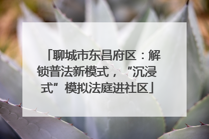 聊城市东昌府区：解锁普法新模式，“沉浸式”模拟法庭进社区