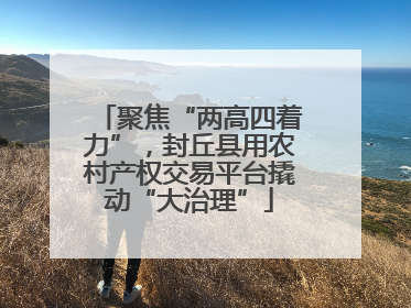 聚焦“两高四着力”，封丘县用农村产权交易平台撬动“大治理”