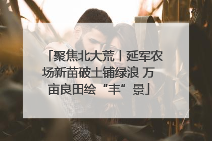 聚焦北大荒丨延军农场新苗破土铺绿浪 万亩良田绘“丰”景