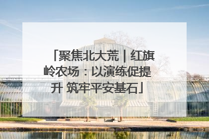 聚焦北大荒｜红旗岭农场：以演练促提升 筑牢平安基石