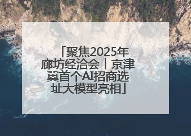 聚焦2025年廊坊经洽会丨京津冀首个AI招商选址大模型亮相