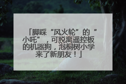 脚踩“风火轮”的“小吒”，可脱离遥控板的机器狗，泡桐树小学来了新朋友！