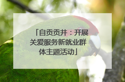 自贡贡井：开展关爱服务新就业群体主题活动