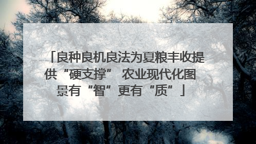 良种良机良法为夏粮丰收提供“硬支撑” 农业现代化图景有“智”更有“质”