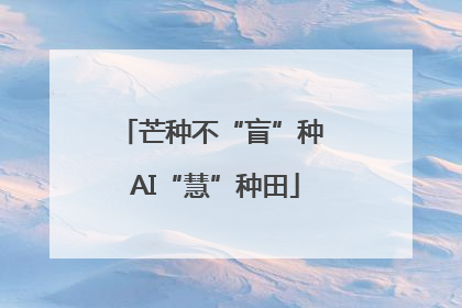 芒种不“盲”种 AI“慧”种田