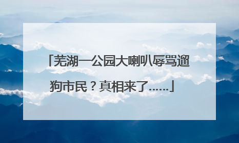 芜湖一公园大喇叭辱骂遛狗市民？真相来了……