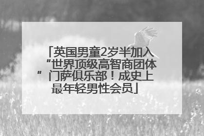 英国男童2岁半加入“世界顶级高智商团体”门萨俱乐部！成史上最年轻男性会员