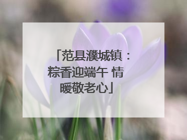 范县濮城镇：粽香迎端午 情暖敬老心