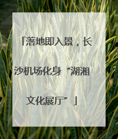 落地即入景，长沙机场化身“湖湘文化展厅”