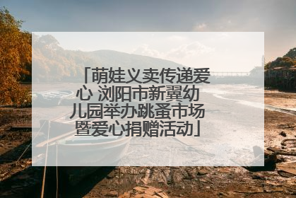 萌娃义卖传递爱心 浏阳市新翼幼儿园举办跳蚤市场暨爱心捐赠活动