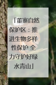 董寨自然保护区：推进生物多样性保护 全力守护好绿水青山