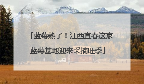蓝莓熟了！江西宜春这家蓝莓基地迎来采摘旺季