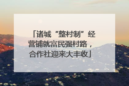 诸城“整村制”经营铺就富民强村路，合作社迎来大丰收
