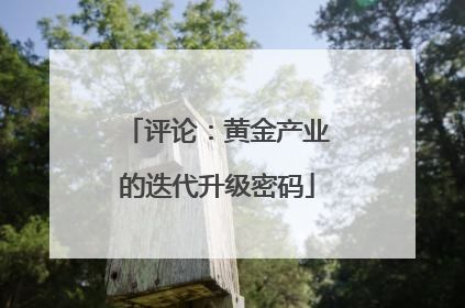 评论：黄金产业的迭代升级密码