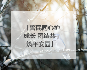警民同心护成长 团结共筑平安园