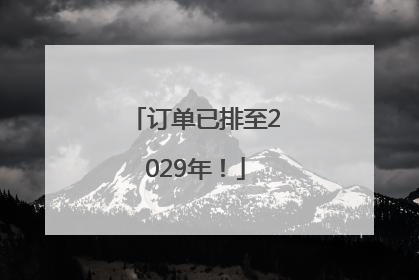 订单已排至2029年！
