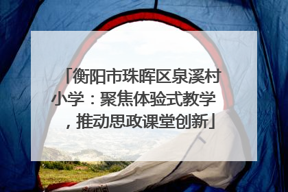 衡阳市珠晖区泉溪村小学：聚焦体验式教学，推动思政课堂创新