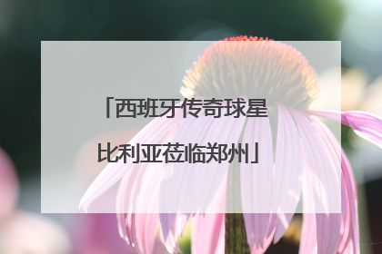 西班牙传奇球星 比利亚莅临郑州