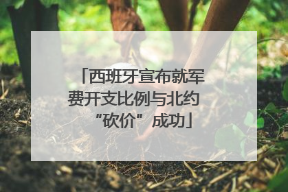 西班牙宣布就军费开支比例与北约“砍价”成功