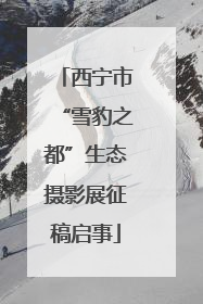 西宁市“雪豹之都”生态摄影展征稿启事