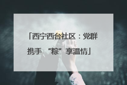 西宁西台社区：党群携手 “粽”享温情