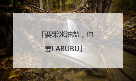 要柴米油盐，也要LABUBU