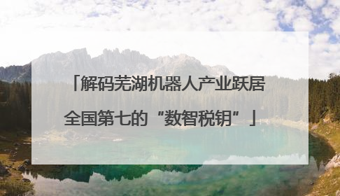 解码芜湖机器人产业跃居全国第七的“数智税钥”