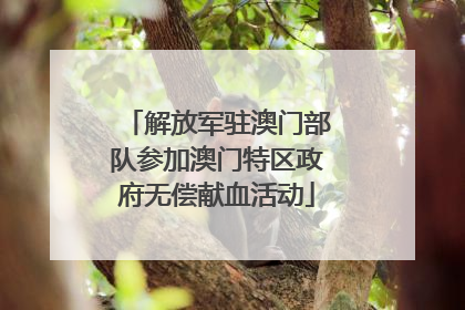解放军驻澳门部队参加澳门特区政府无偿献血活动