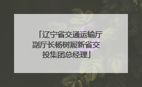 辽宁省交通运输厅副厅长杨树履新省交投集团总经理