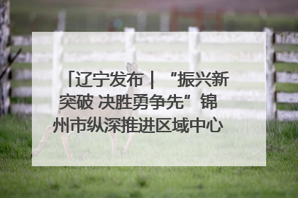 辽宁发布｜“振兴新突破 决胜勇争先”锦州市纵深推进区域中心城市建设 打造高质量发展新增长极