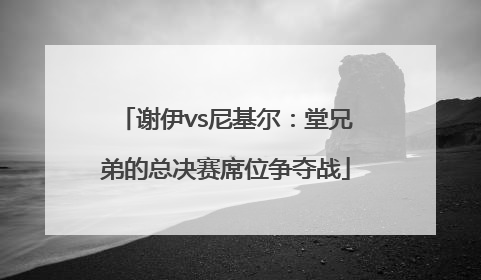 谢伊vs尼基尔：堂兄弟的总决赛席位争夺战