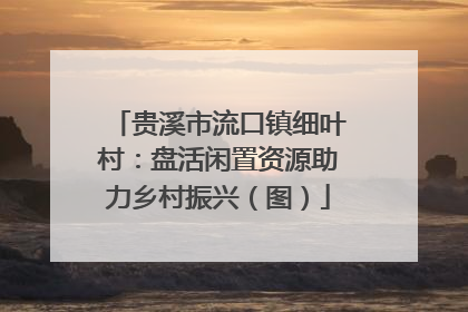 贵溪市流口镇细叶村：盘活闲置资源助力乡村振兴（图）