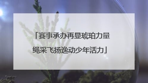 赛事承办再显琥珀力量 绳采飞扬逸动少年活力