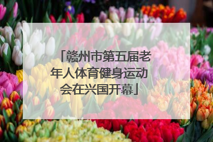 赣州市第五届老年人体育健身运动会在兴国开幕
