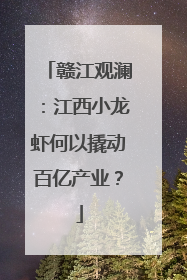 赣江观澜：江西小龙虾何以撬动百亿产业？