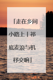 走在乡间小路上丨祁底麦浪与机杼交响